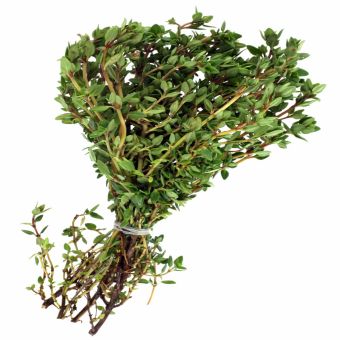 Thyme- 1xBox01